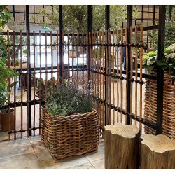 Rattan Hegn, Vertikal (120 x 150)