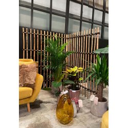 Rattan Hegn, Vertikal (120 x 150)