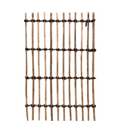 Rattan Hegn, Vertikal (98 x 150)