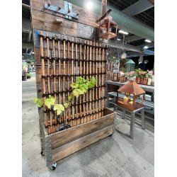 Rattan Hegn, Vertikal (98 x 150)