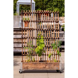 Rattan Hegn, Vertikal (98 x 150)