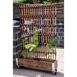 Rattan Hegn, Vertikal (98 x 150)