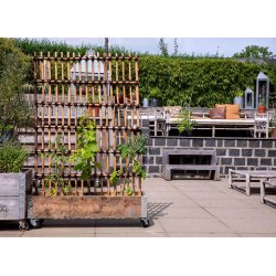 Rattan Hegn, Vertikal (98 x 150)