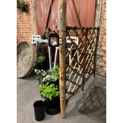 Rattan Hegn, Cross (120 x 90)