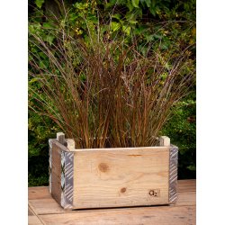 Kasse t. Mini Vksthus 1 Lag