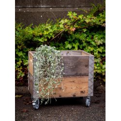 lkasse 2 Lag m. Hjul