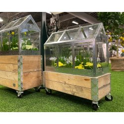 Kasse t. Maxi Vksthus 1 Lag