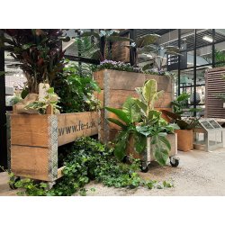 Kasse t. Maxi Vksthus 2 Lag (m. opbevaringsrum)