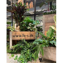 Kasse t. Maxi Vksthus 2 Lag (m. opbevaringsrum)