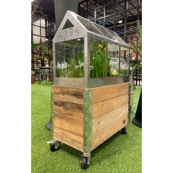 Kasse t. Maxi Vksthus 2 Lag