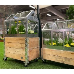 Kasse t. Maxi Vksthus 2 Lag