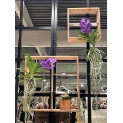 Quadro Hylde (6 rum)