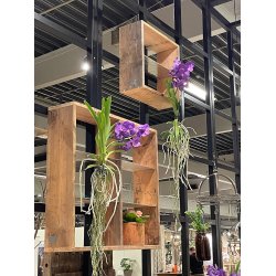 Quadro Hylde (6 rum)