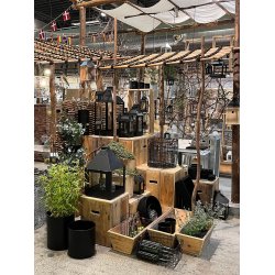 Maxi Udstillingspodie