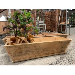 Plante Trug (75 cm)