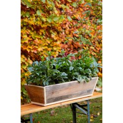 Plante Trug (75 cm)