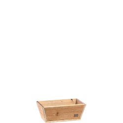 Plante Trug (50 cm)