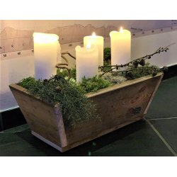 Plante Trug (50 cm)