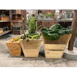 Quadro Plante Trug (50 cm)