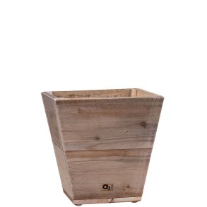 Quadro Plante Trug (40 cm)