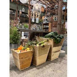 Quadro Plante Trug (40 cm)