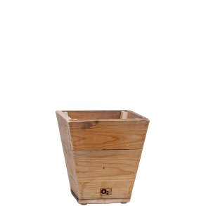 Quadro Plante Trug (30 cm)
