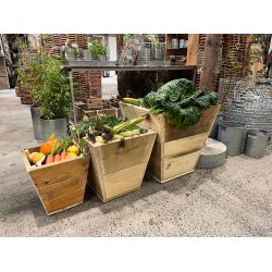 Quadro Plante Trug (st m. 3 stk. / 3 str.)