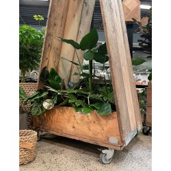 Hightower Street Menu Skilt m. Hjul &amp; Sidebrt (H: 180-190)