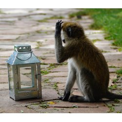 Galvaniseret Micro Lanterne