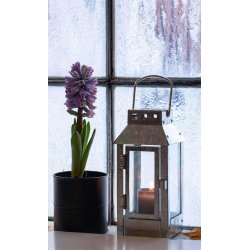 Galvaniseret Micro Small Lanterne