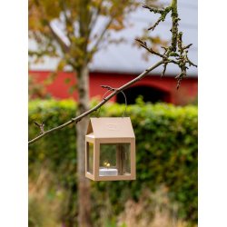 Hasselnd Hngelanterne