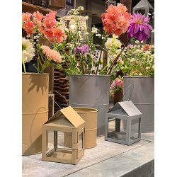 Hasselnd Hngelanterne