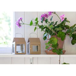 Hasselnd Hngelanterne