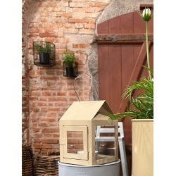 Hasselnd Hngelanterne