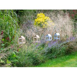 Hasselnd Hngelanterne