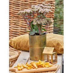 Messing Hngelanterne