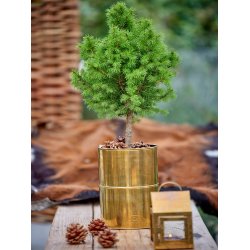 Messing Hngelanterne