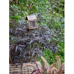 'Kobber/Messing-look' Hngelanterne