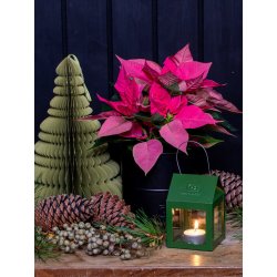 Olivengrn Hngelanterne