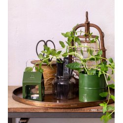 Olivengrn Hngelanterne