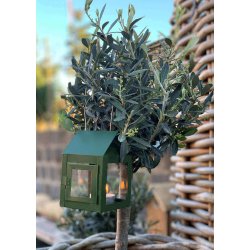 Olivengrn Hngelanterne