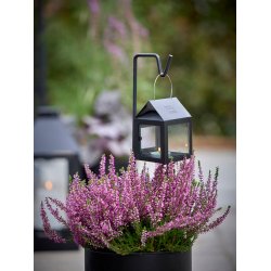 Mini Sort spyd t. Hngelanterne