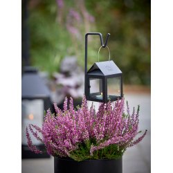 Maxi Sort spyd t. Hngelanterne