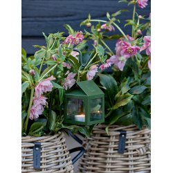 Maxi Olivengrn spyd t. Hngelanterne