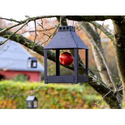 Sort Mini Quadro 'Birdy Eat' Foderbrt