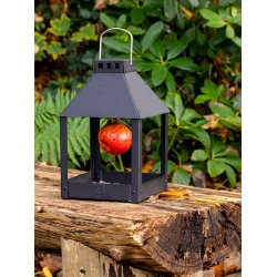 Sort Mini Quadro 'Birdy Eat' Foderbrt