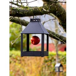 Sort Mini Quadro 'Birdy Eat' Foderbrt