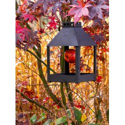 Sort Mini Quadro 'Birdy Eat' Foderbrt