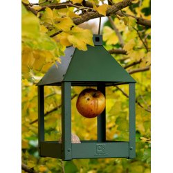 Olivengrn Mini Quadro 'Birdy Eat' Foderbrt