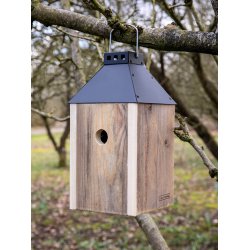 Sort Mini 'Birdy Sleep' Fuglehus (genb. tr)